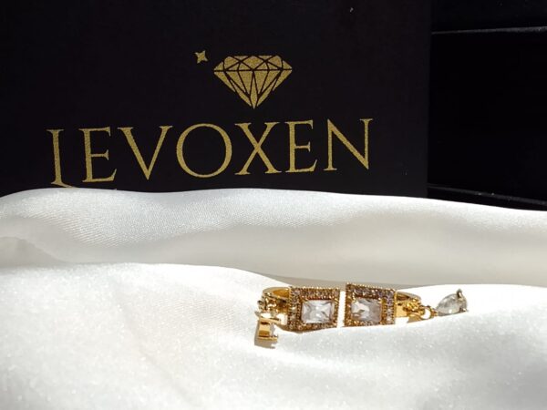 LEVO D Gold - Image 2